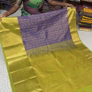 ARASI01